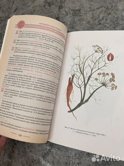 Полная энциклопедия народной медицины