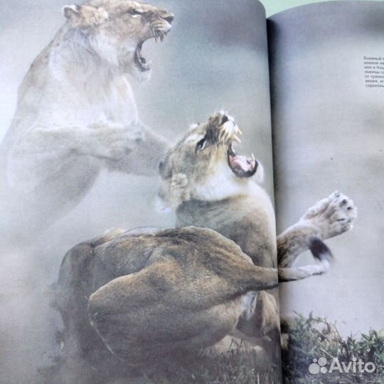 Книга Энциклопедия живой природы