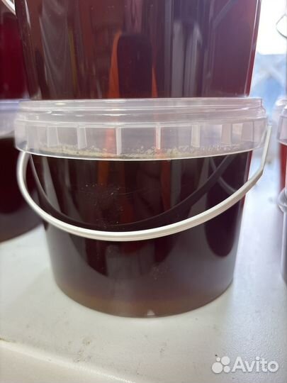 Мед гречишный 2024