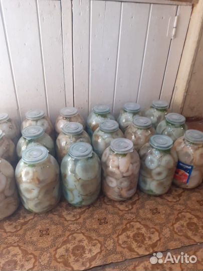 Грузди соленые