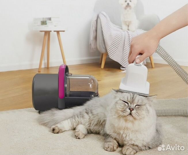 Набор для груминга домашних животных petkit
