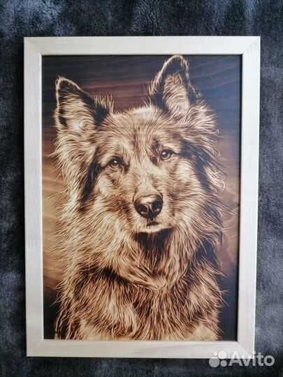 Картина, выжженная по дереву. Собака