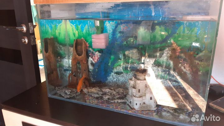 Аквариум