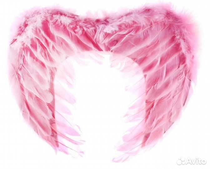 Новые крылья