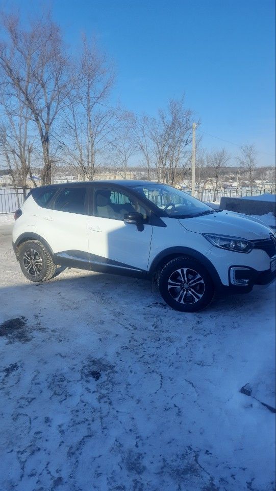 Renault Kaptur: фото владельца