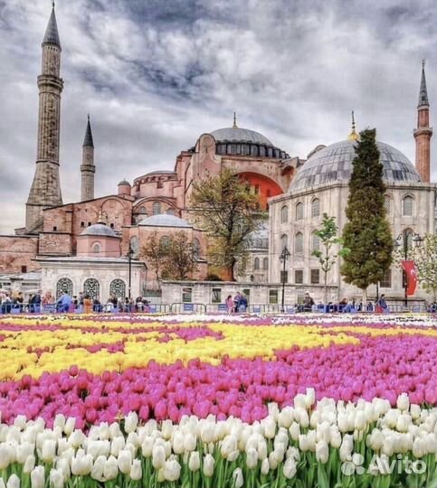 Путешествия