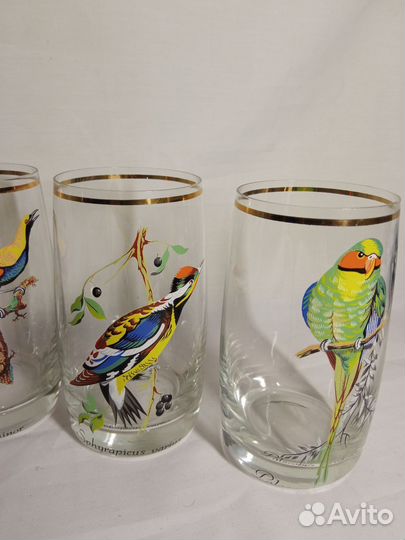 Стаканы Попугаи