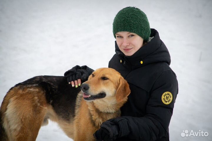 Тимошке нужен дом