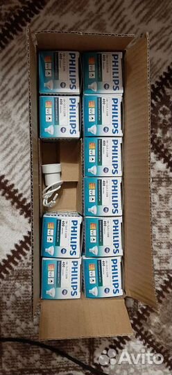 Светодиодная лампа Philips GU5.3 - 5w