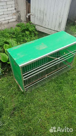 Клетки для перепелов