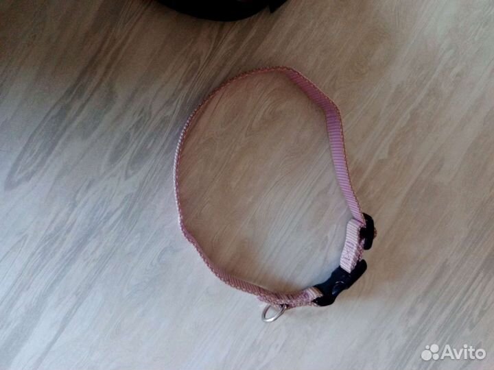 Поводок с ошейником для собак