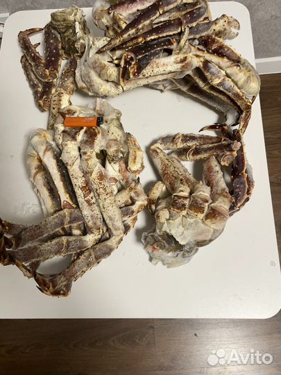 Фаланги Камчатского Краба