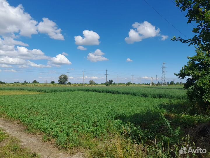 Земельных участок 5 га