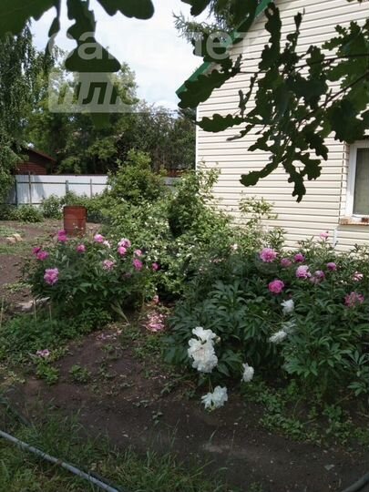 Дача 42 м² на участке 5,2 сот.