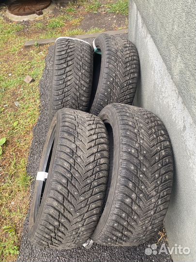 Nokian Tyres Hakkapeliitta 10p 215/50 R17 95