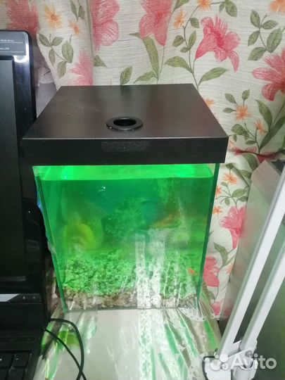 Аквариум
