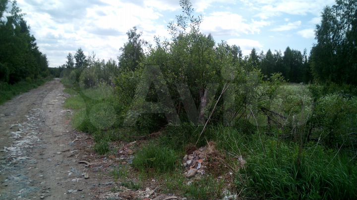 Участок 7,49 га (СНТ, ДНП)