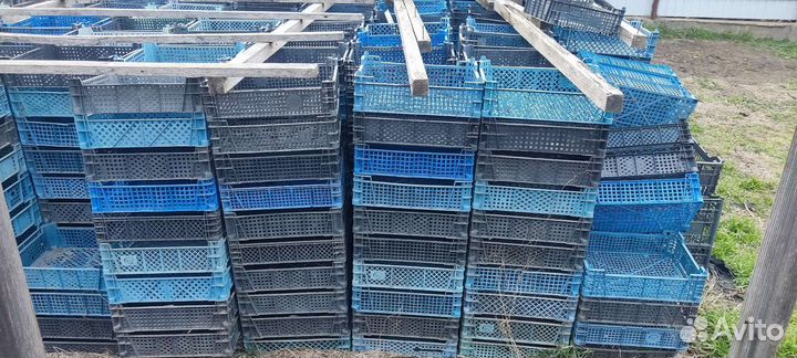 Ящики из под шампиньонов для рассады