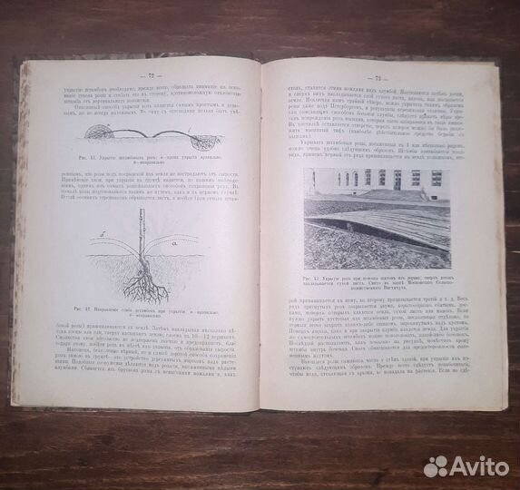 Антикварная книга. Г. Десятов. Роза. 1914г