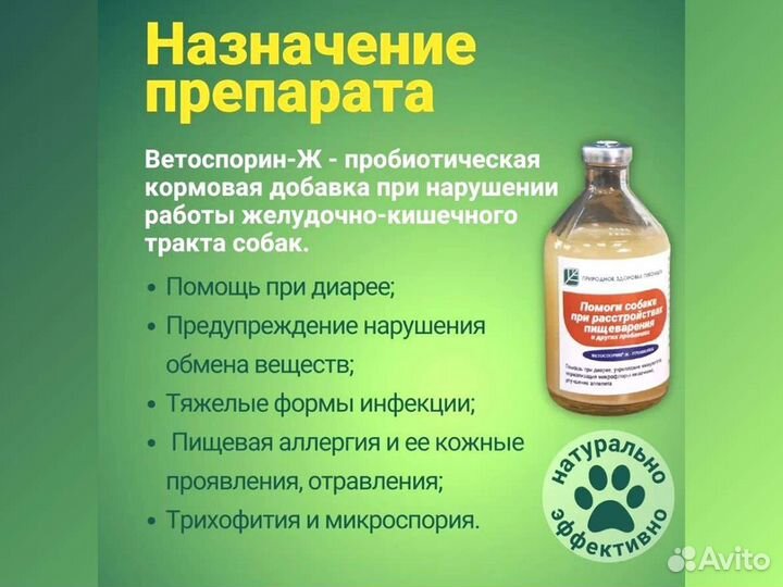 Пробиотик Помоги собаке при расстройствах пищеварения