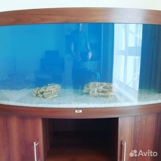 Обслуживание(чистка) аквариумов, установка, переус