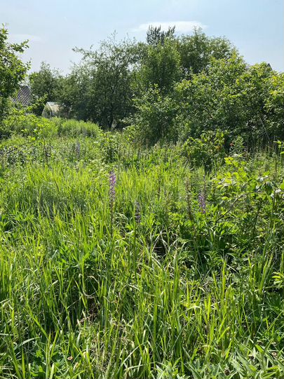 Дача 40 м² на участке 22,7 сот.