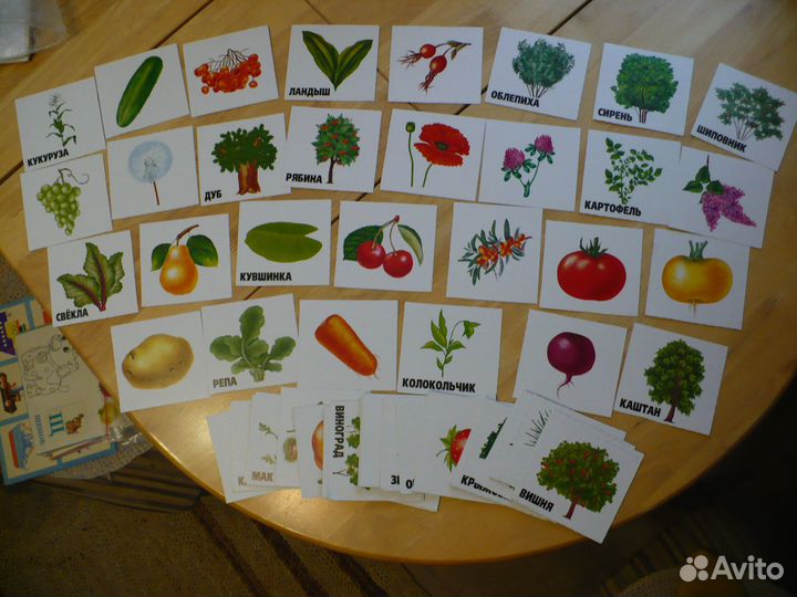 Пособия по чтению/письму/речи для дошкольников