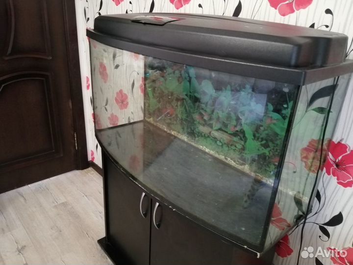 Аквариум 180л с тумбочкой