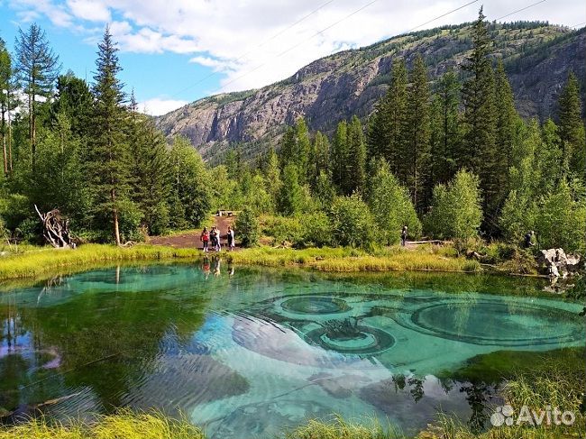 Отдых на Алтае