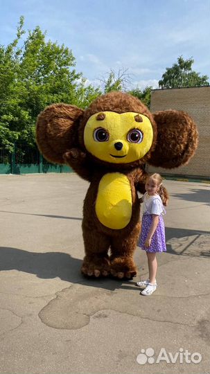 Чебурашка поздравление + игрушка