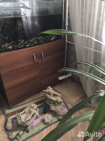 Аквариум с тумбой бу
