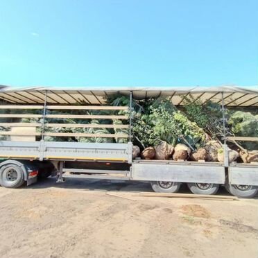 Услуги фуры и длиномера/Междугородние перевозки