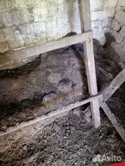 Навоз куриный