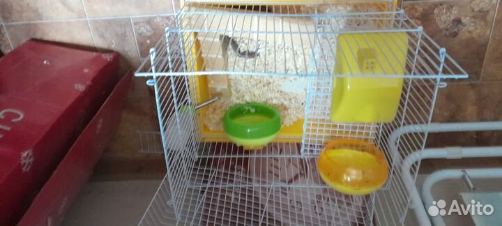 Клетка для хомяков и многое другое