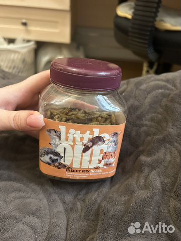 Смесь (mix) насекомых для грызунов Little one