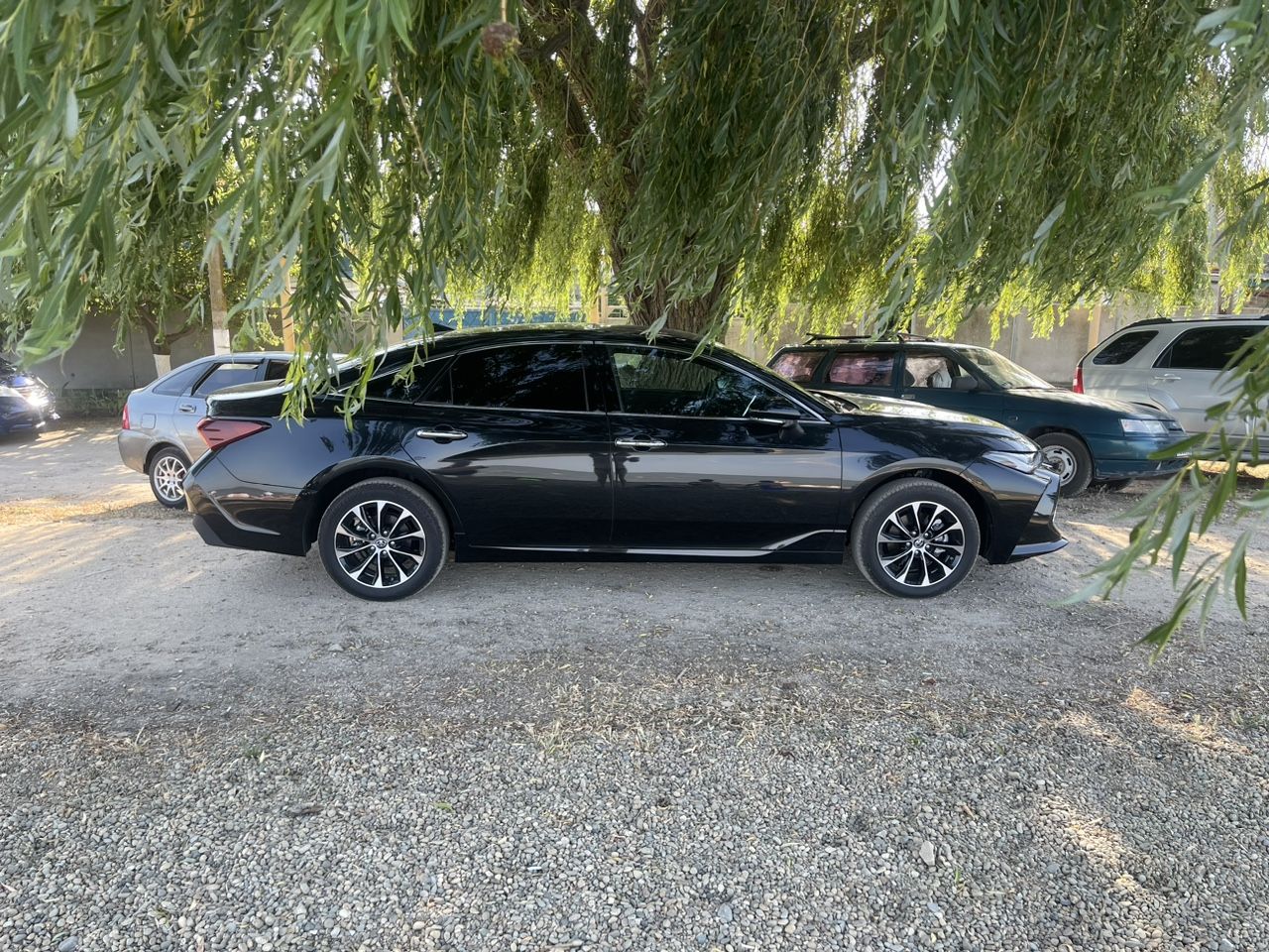 Toyota Avalon: фото владельца