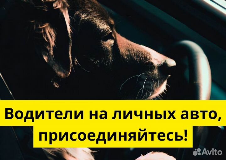 Стань водителем Яндекс Go