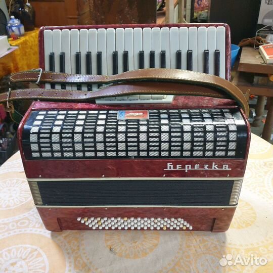 Аккордеон березка