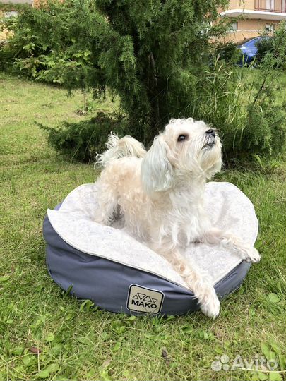 Лежанка пуф для собак 