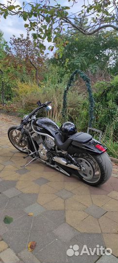Harley Davidson v rod
