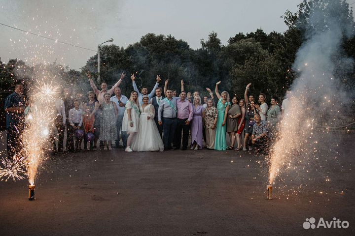 Ведущий на свадьбу юбилей корпоратив / тамада