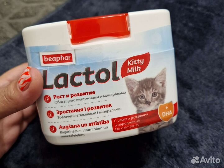 Кормление для котят