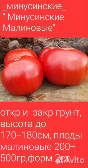 Семена урожайных сортов