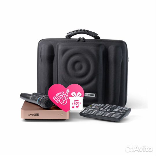 Караоке комплект Evobox Plus + SE200D + Soudbar