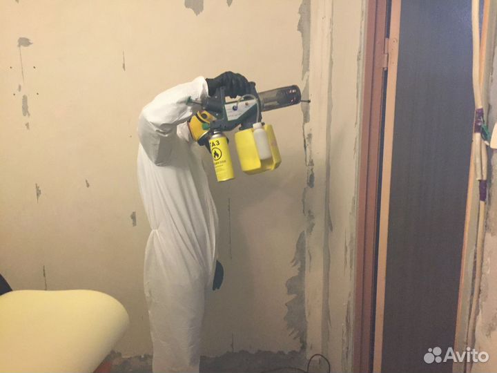 Уничтожение тараканов, клопов. Дезинфекция