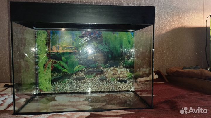Аквариум