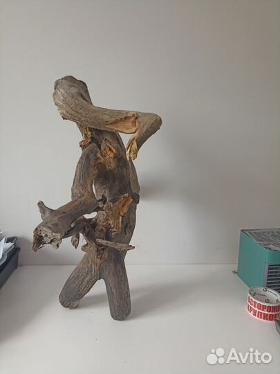 Коряга в террариум
