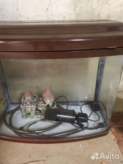 Аквариум
