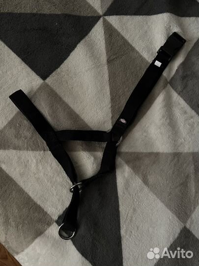 Намордник недоуздок для собак, xl