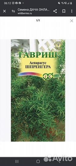 Аспарагус шпренгера семена